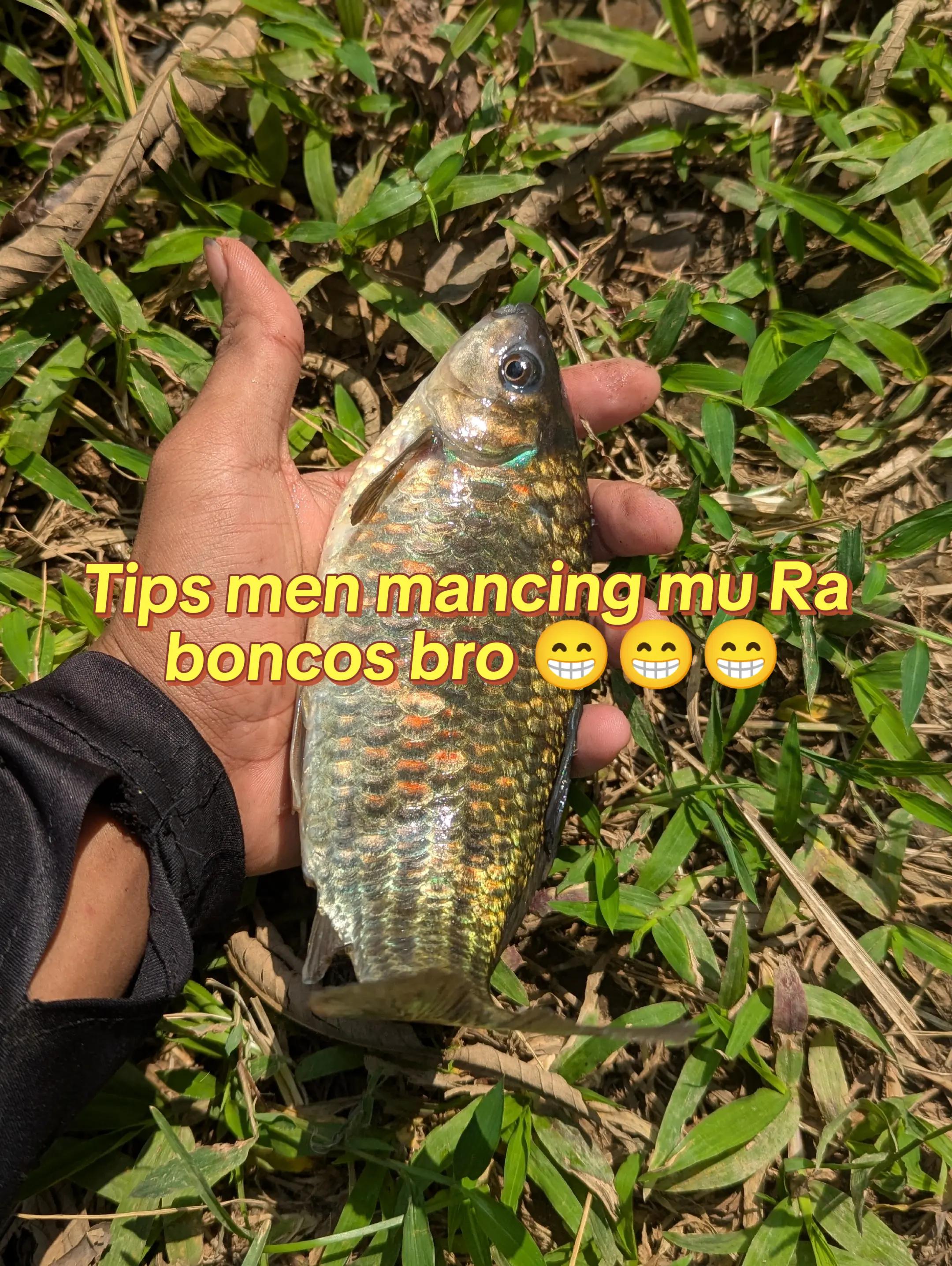 @Mancing Everyday