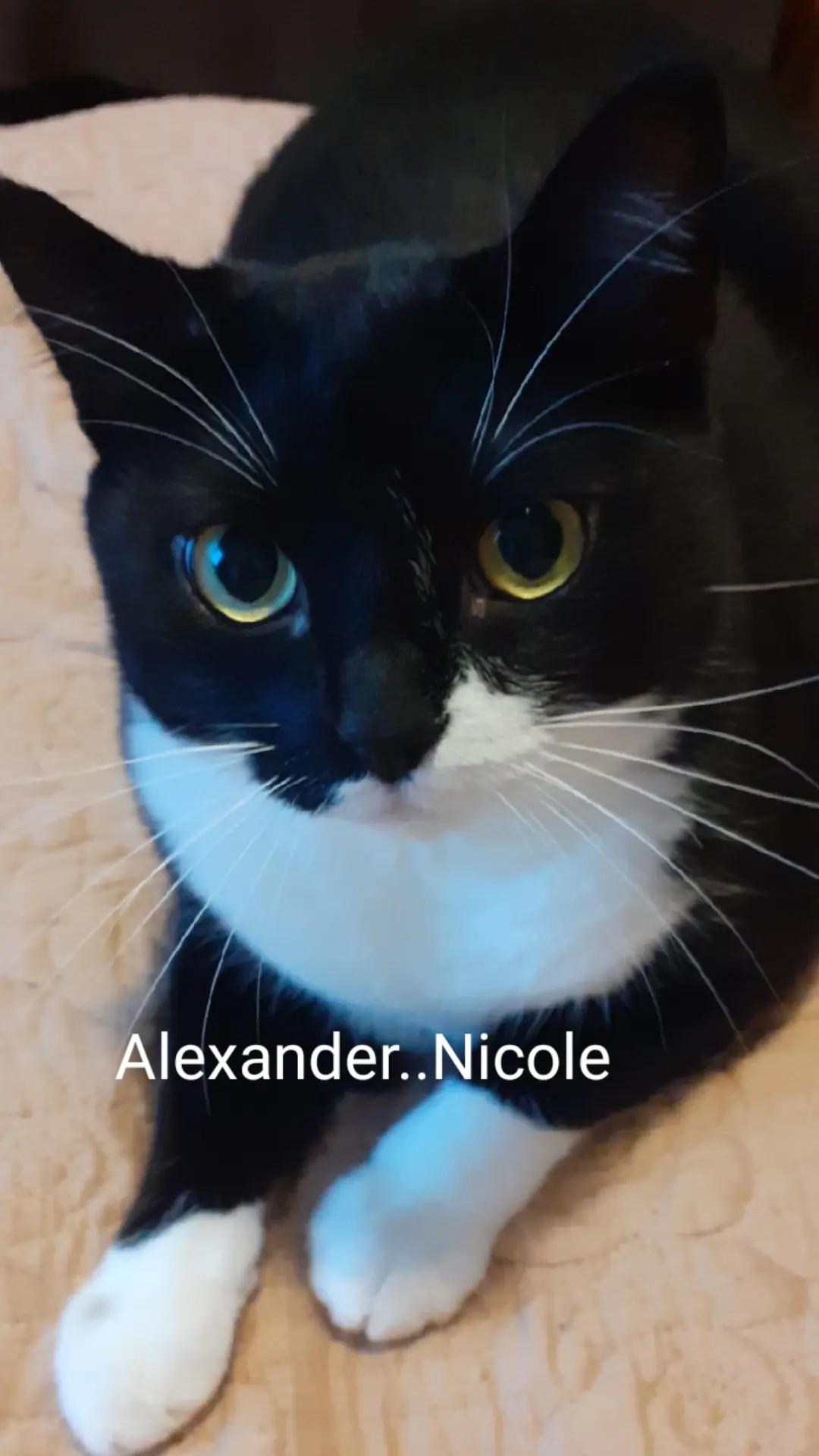 @Alexander..Nicole