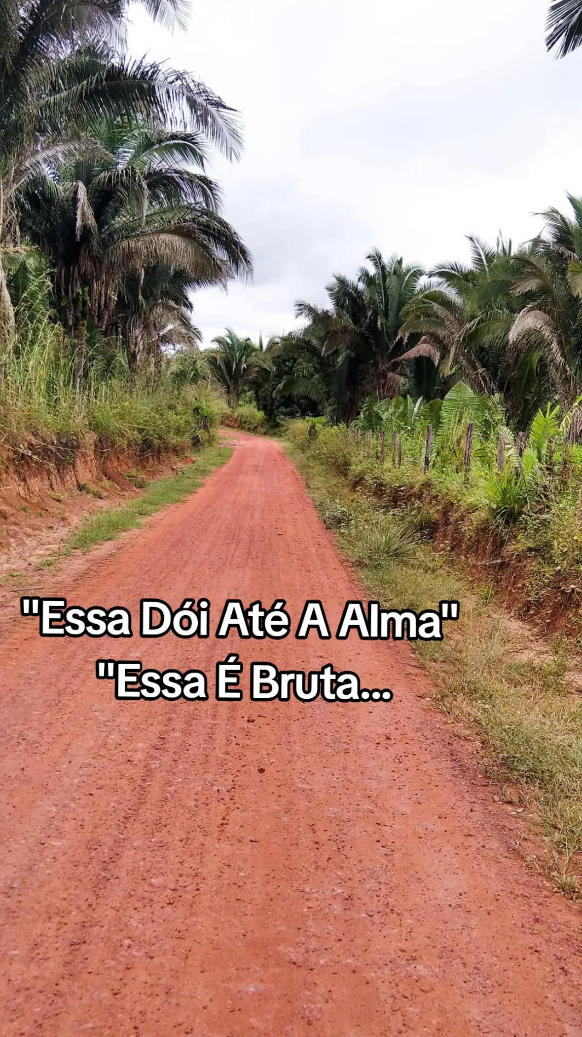 @O menino da estrada