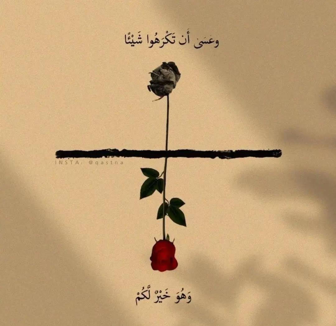 @aaamira