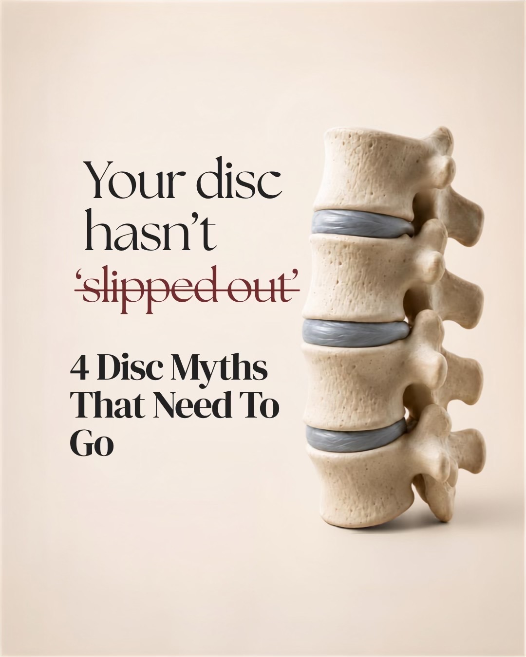 @Sydney Spine & Disc Clinic ✨