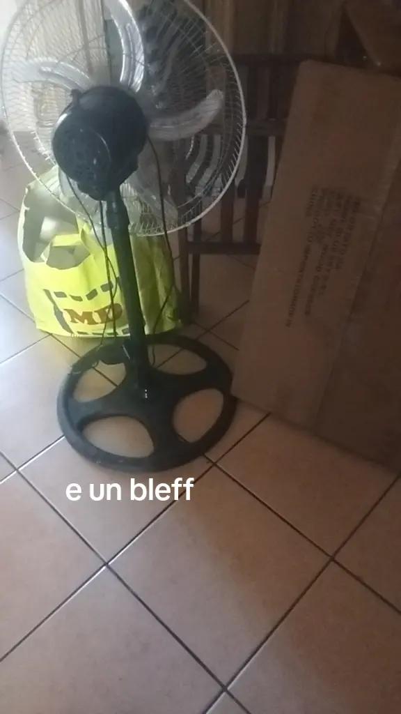 @Concetta Dalpino