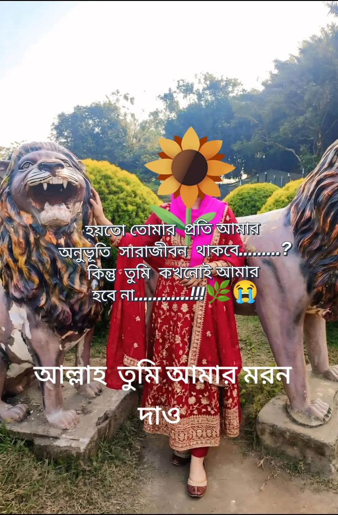 @💞নি্ঁর্ঁবে্ঁ কাঁদে ম্ঁন্ঁ 💞