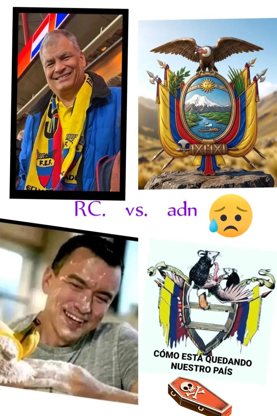 @Pedro Miguel