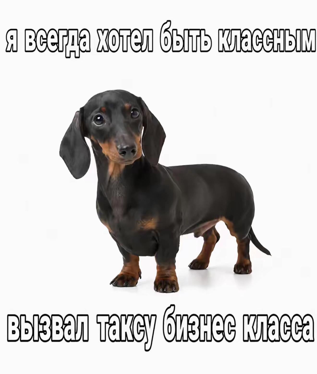 @NeZQ🌪️