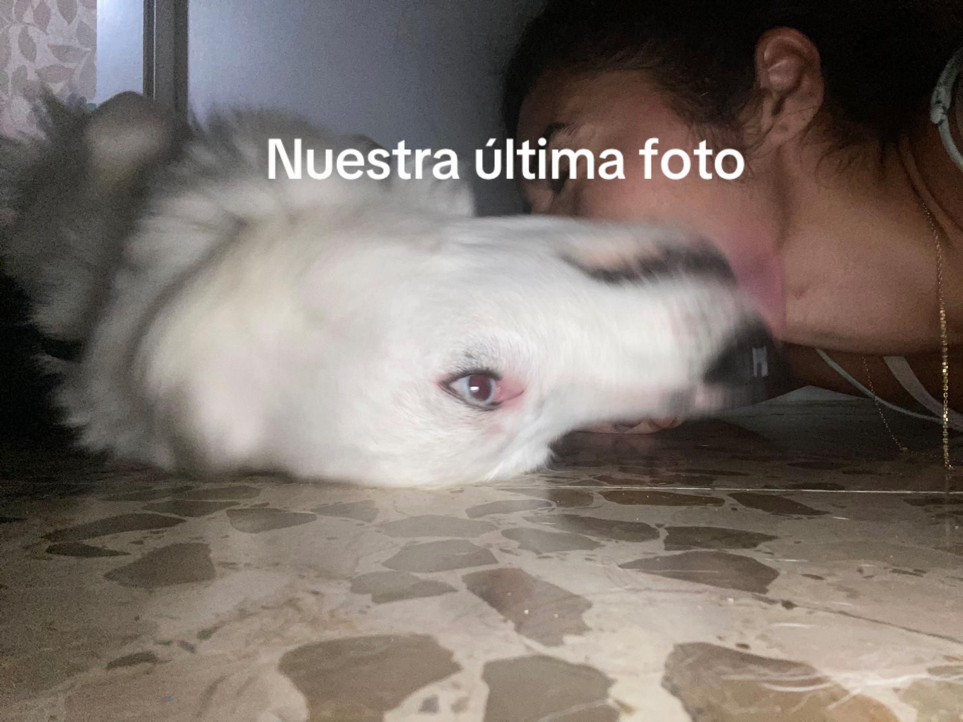 @Gabri