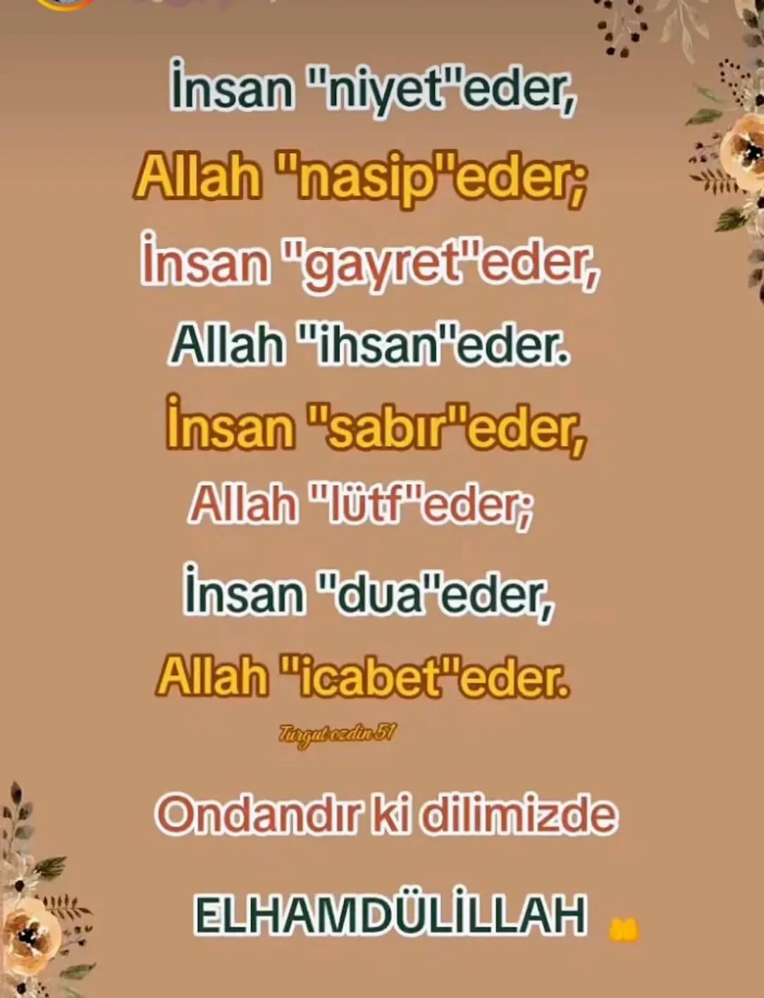 @SULTANIM