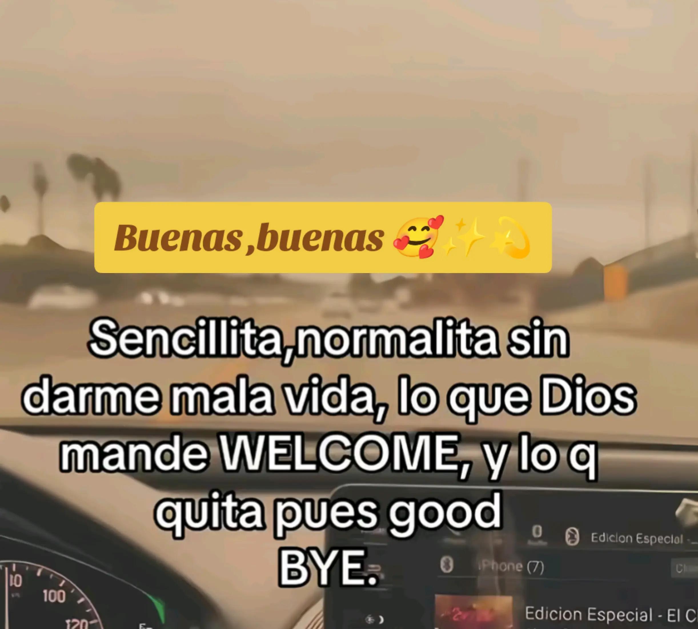 @alileiva ✨🌺🫀🧠🥂