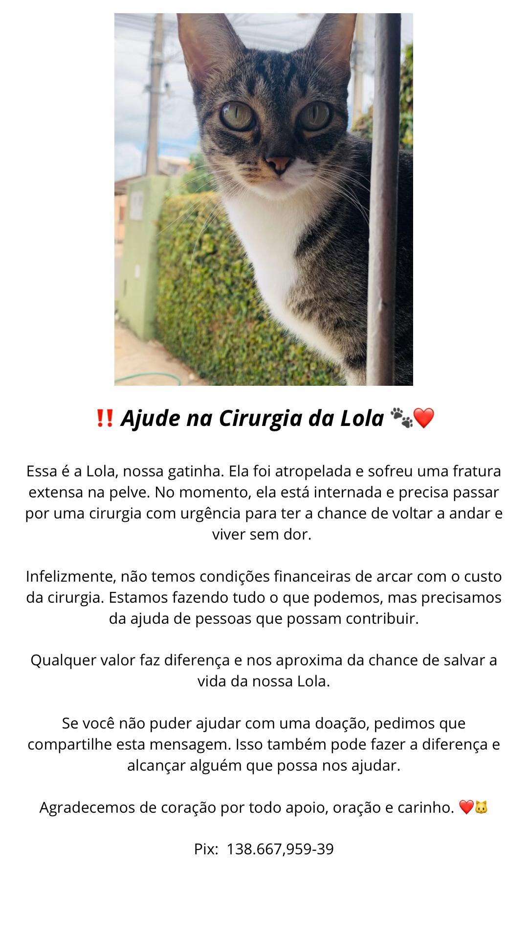 @Gislene Rodrigues