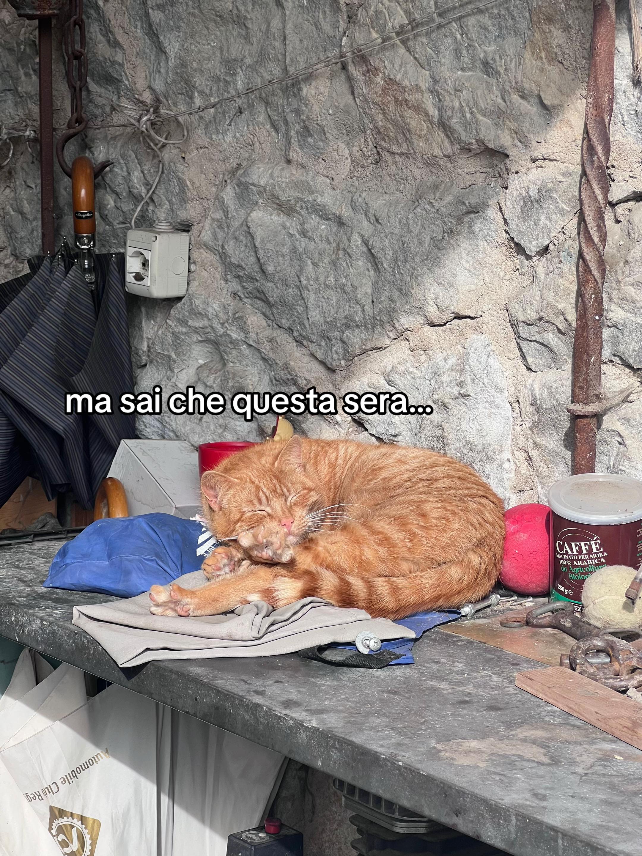 @Francesco Marastoni