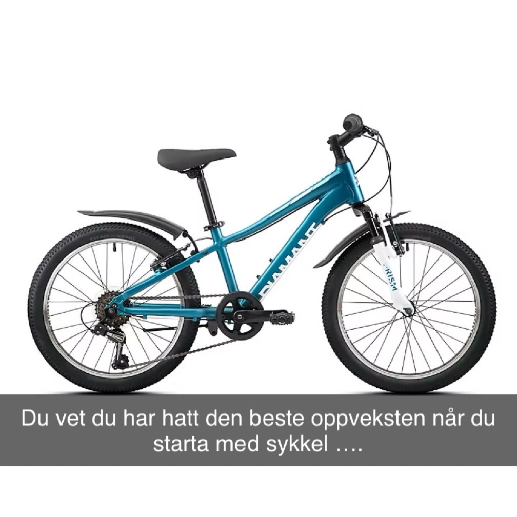 @h&oslash;y_CO2forbruker