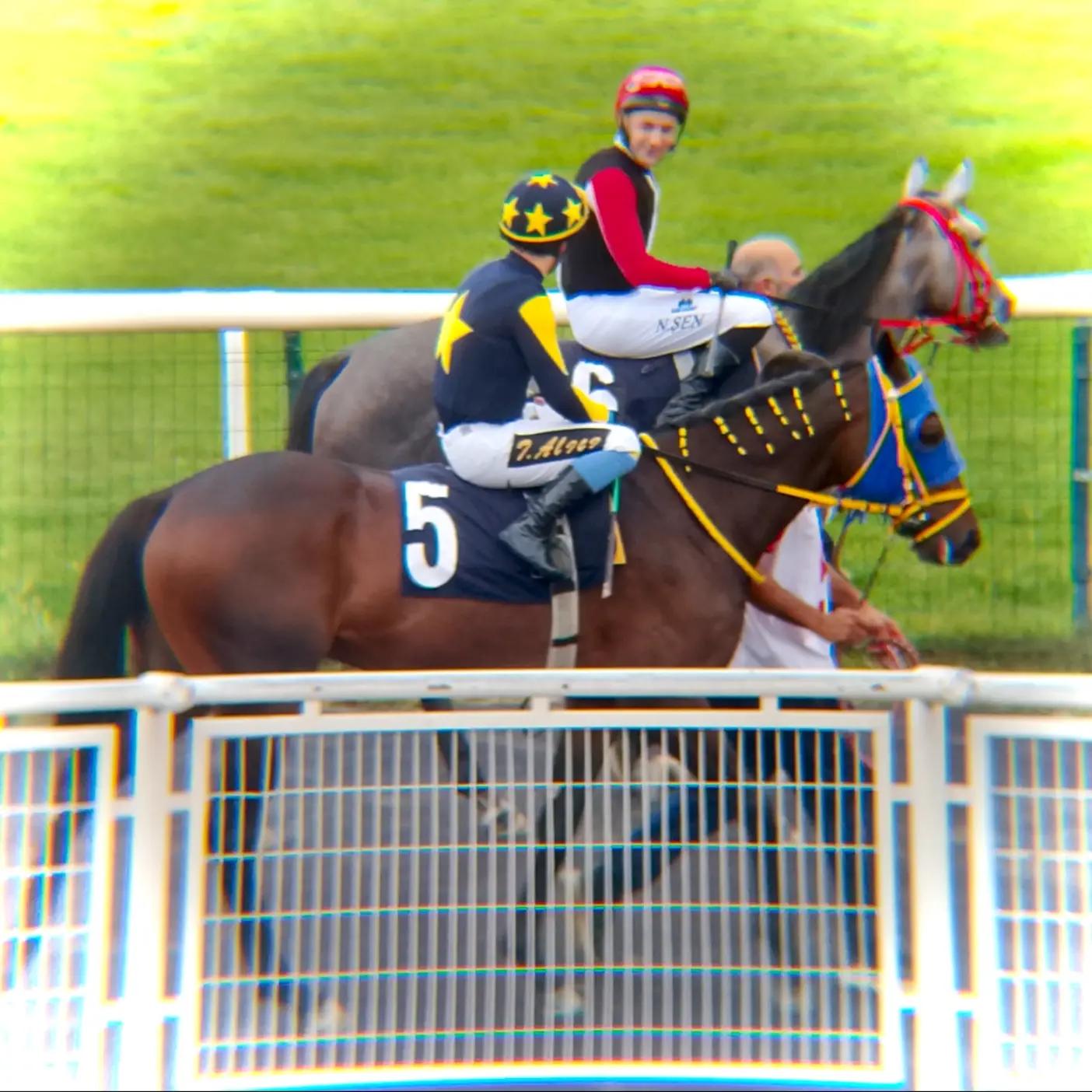 @brs horse racing