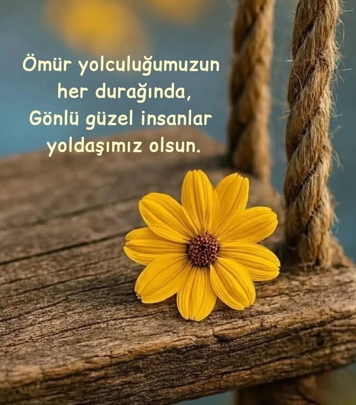 @mecnun