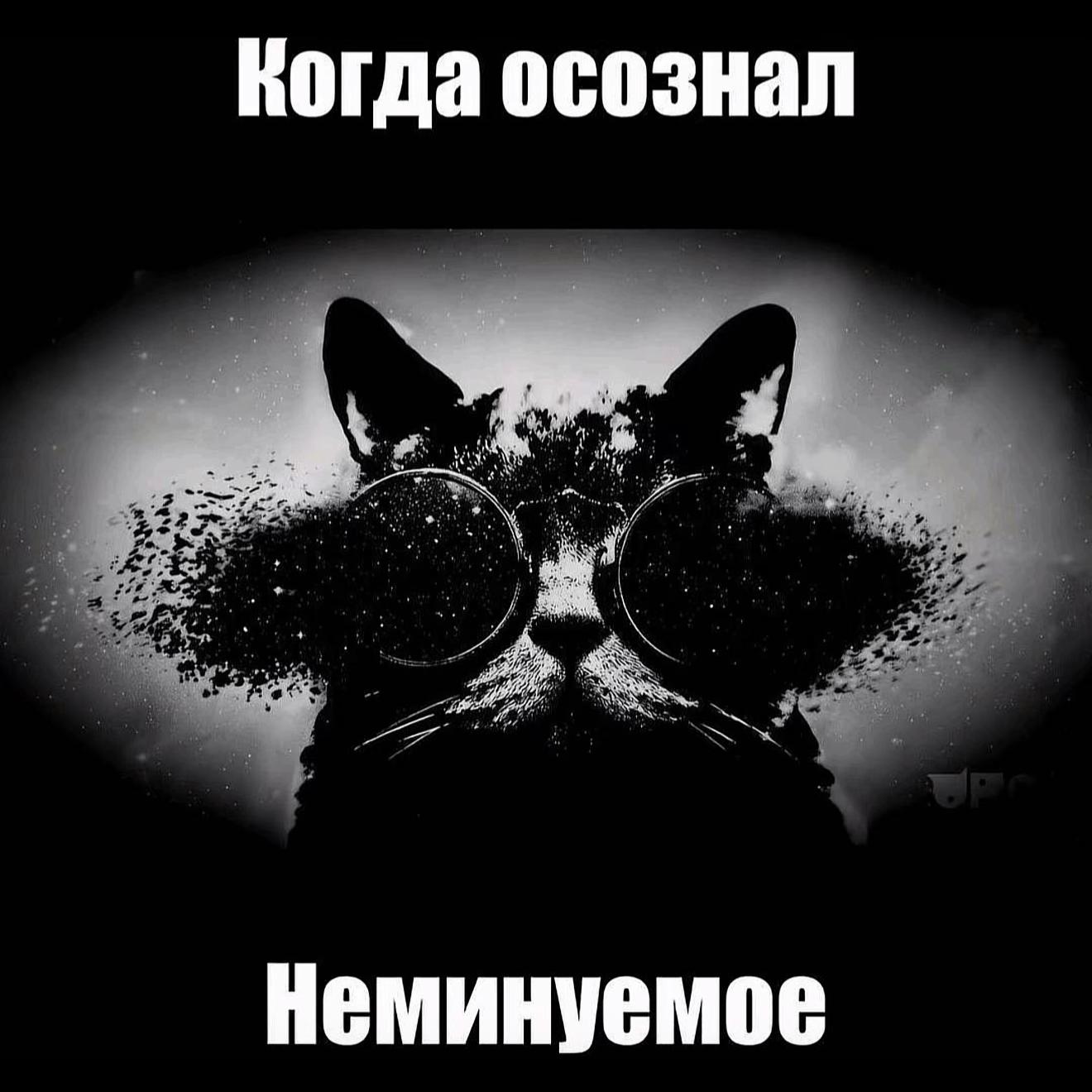 @Рафинированная Крестьянка 𓀊