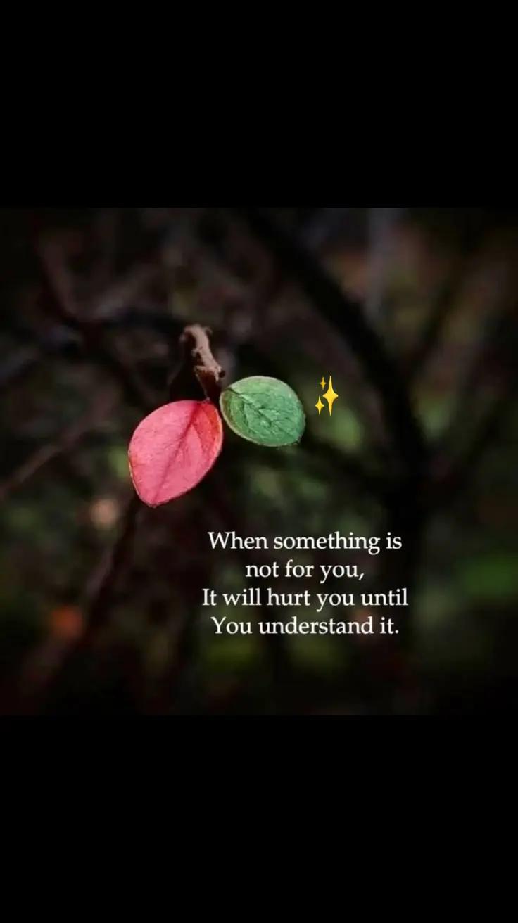 @🌾⃝⃟🕊️🅵🅰️🆉🌹🎨🖌️🌾⃝⃟🕊️