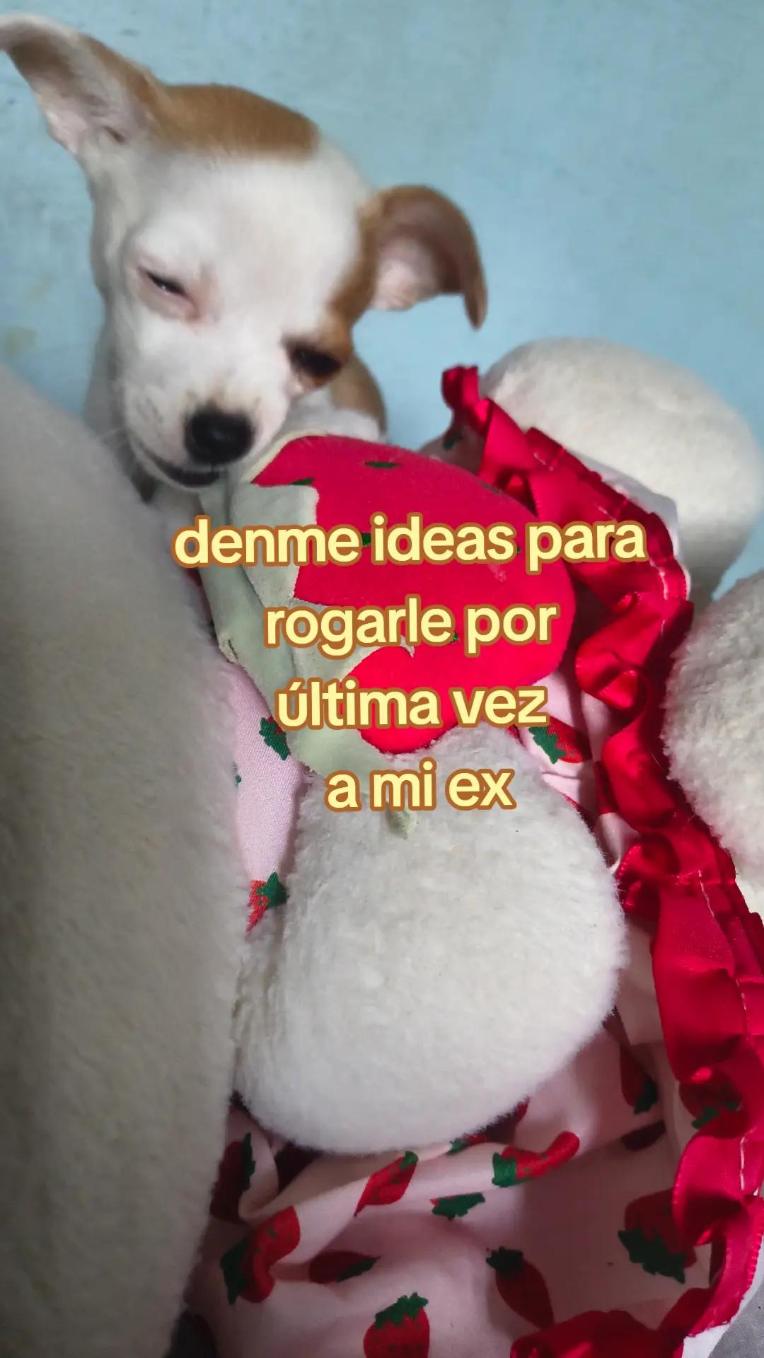 @May🦋❣️