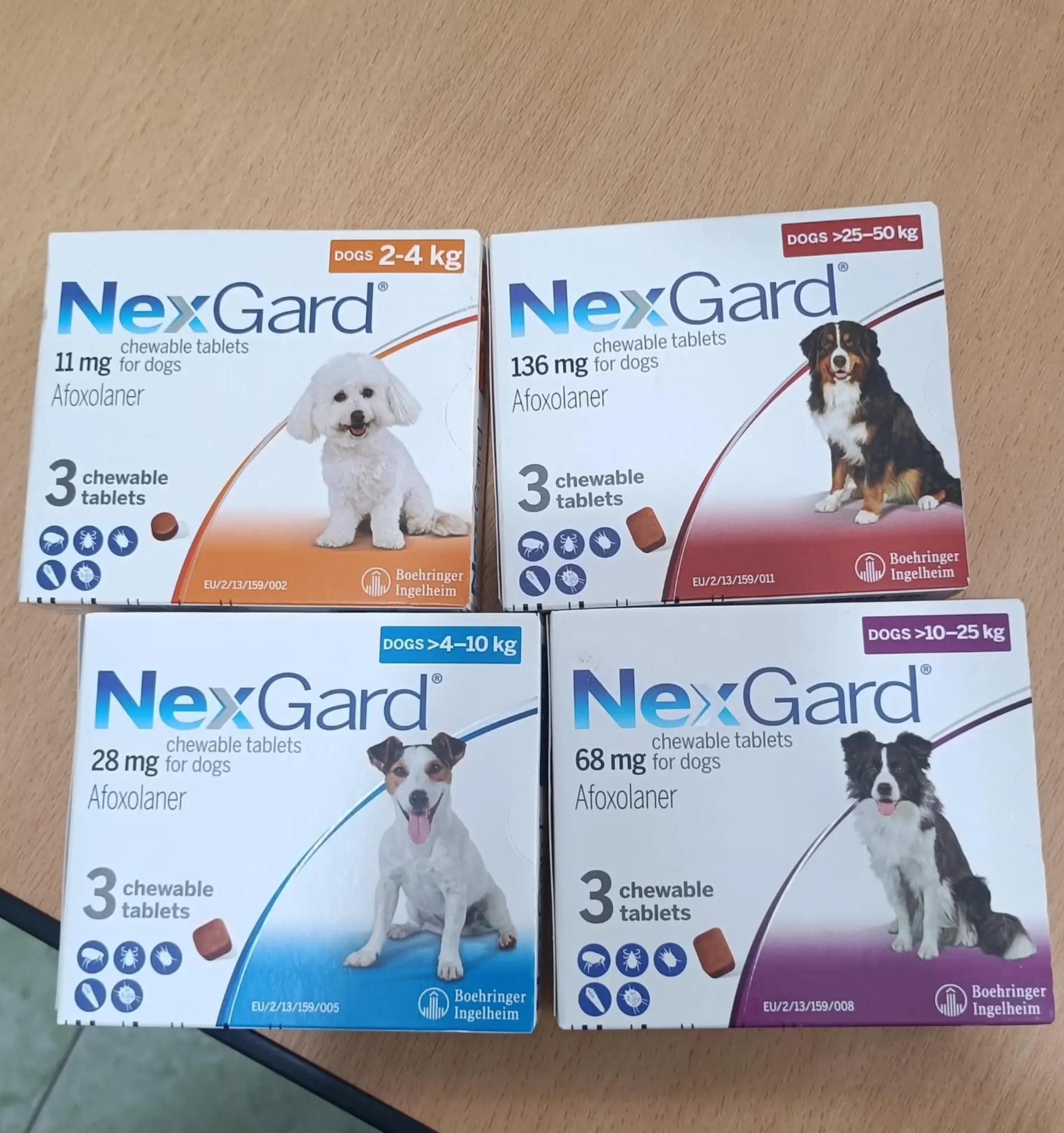 @Vdb petshop