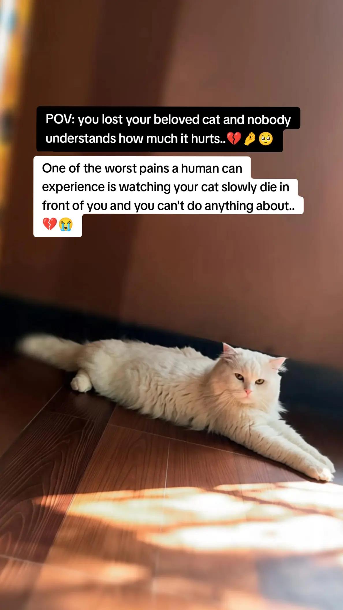 @Nida 𝐅𝐀ت𝐈𝐌𝐀 بلوچ
