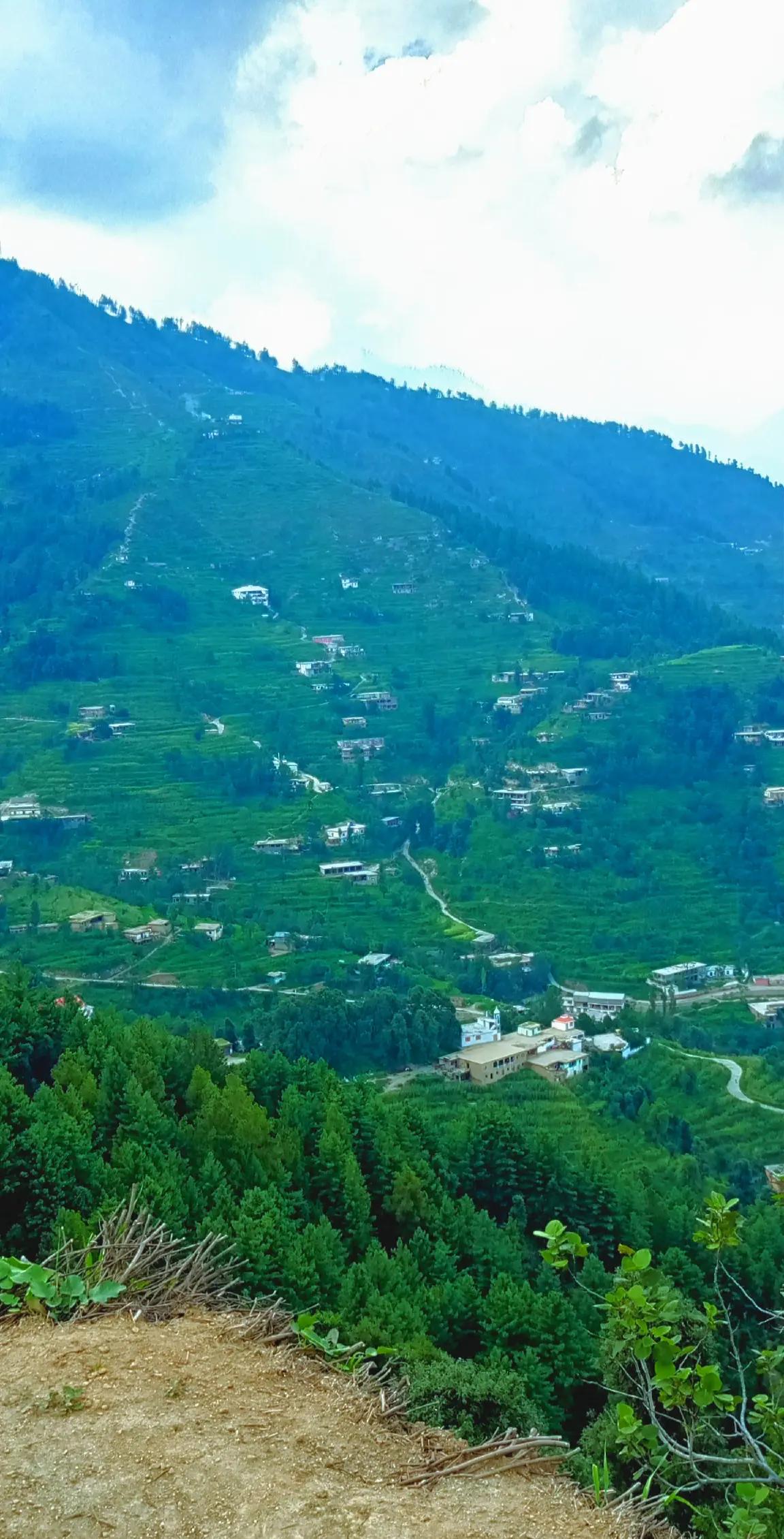 @🌲غر سنے 🌲