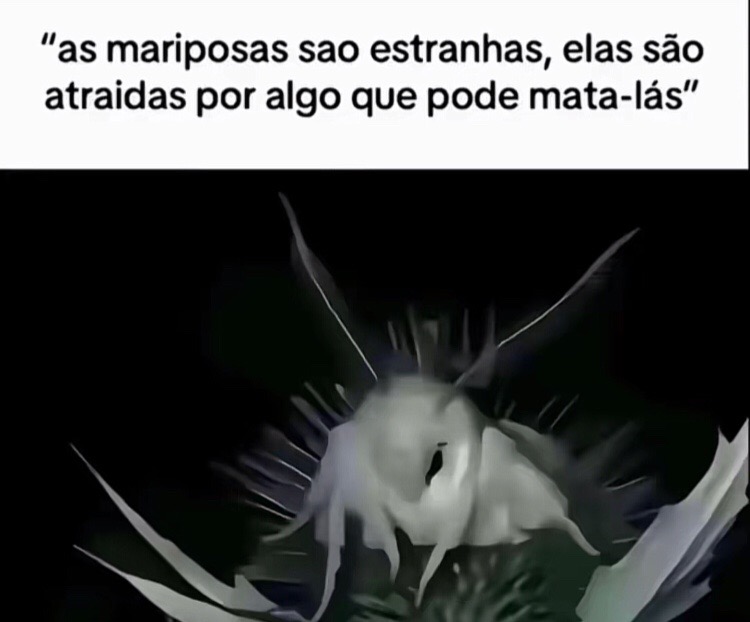 @Pᥱ́r᥆ᥣᥲ ᥱ ᥴᥲ&rho;&iota;tᥲ̃᥆