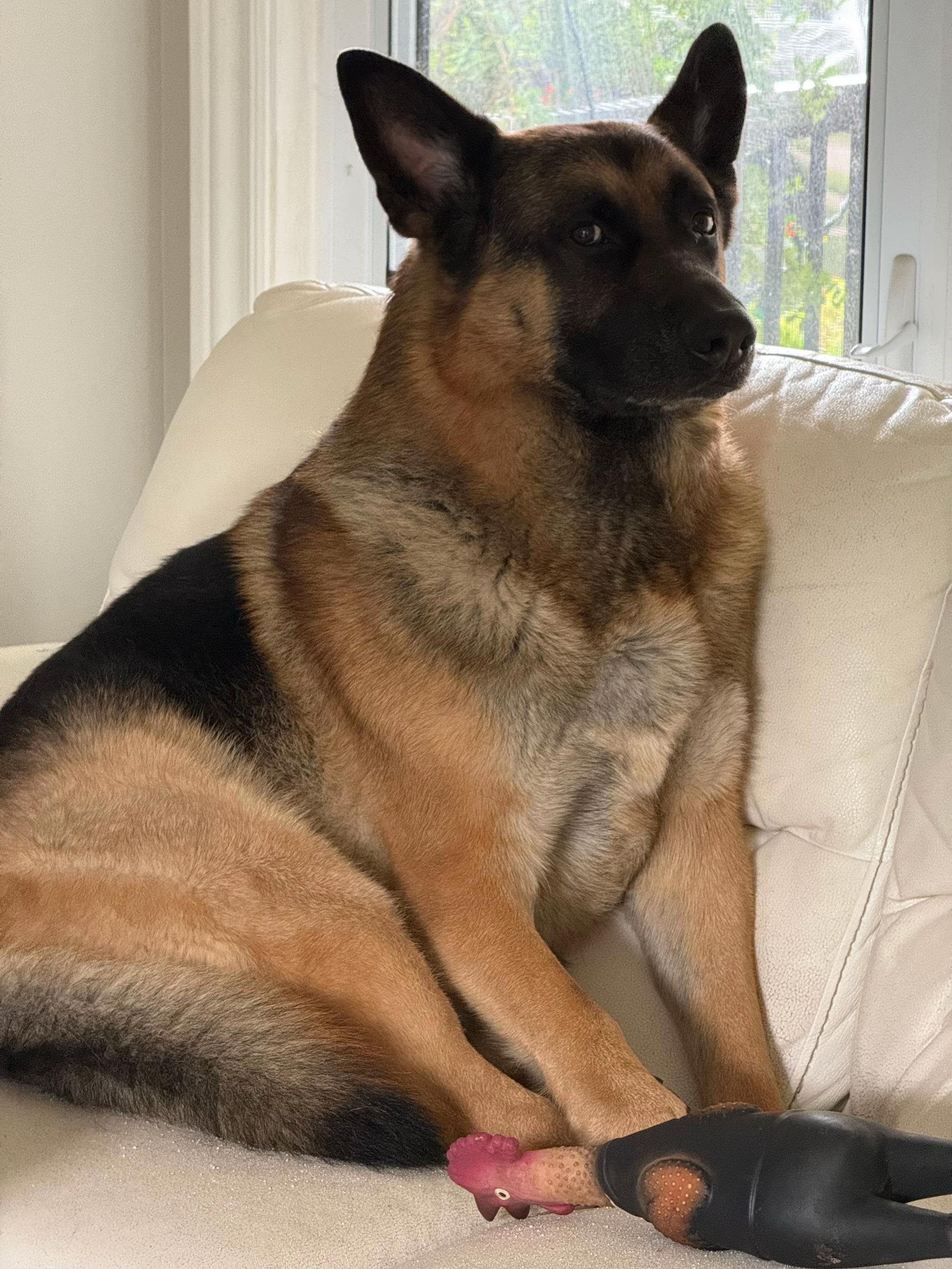 @Martygsd