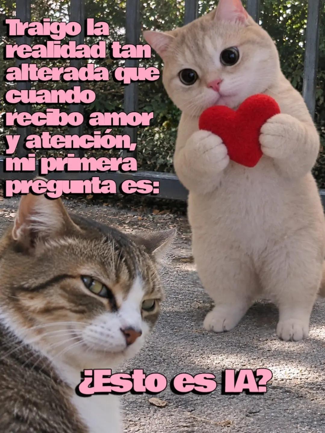 @Carlos Alberto