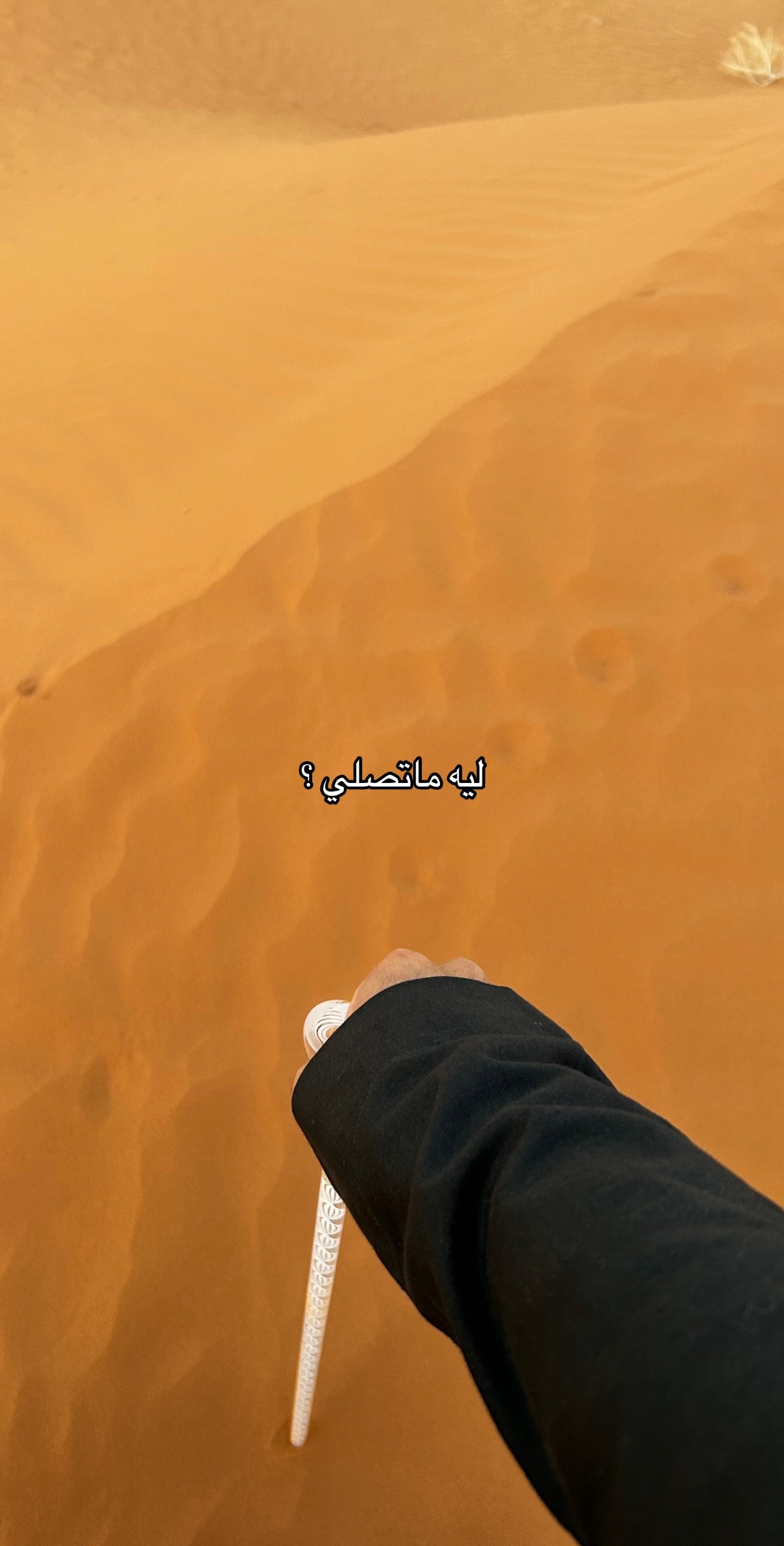 @ismail.alkhalidi