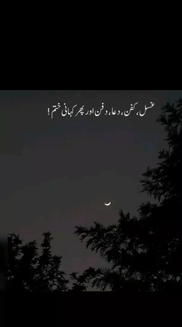 @محترم کی محترمہ💗✨