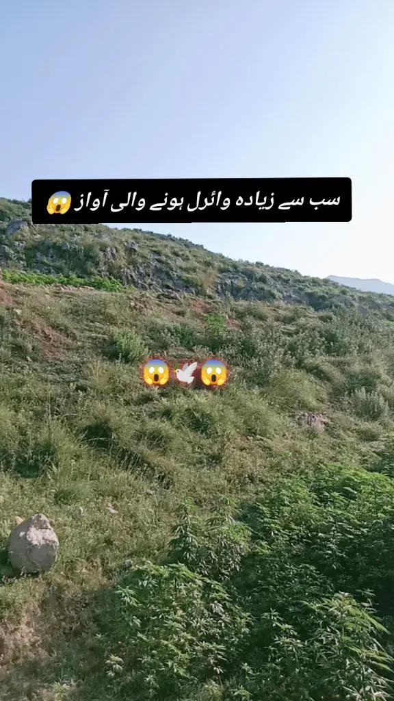 @✨Zahir_khan✨