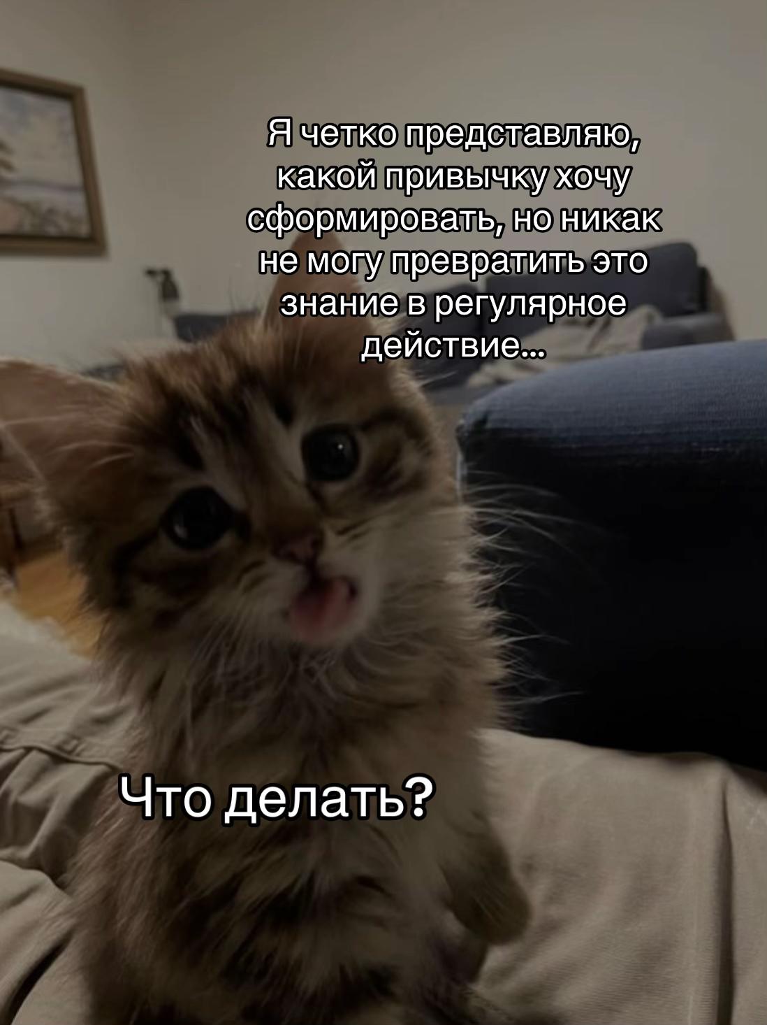 @тгк: психология с марго