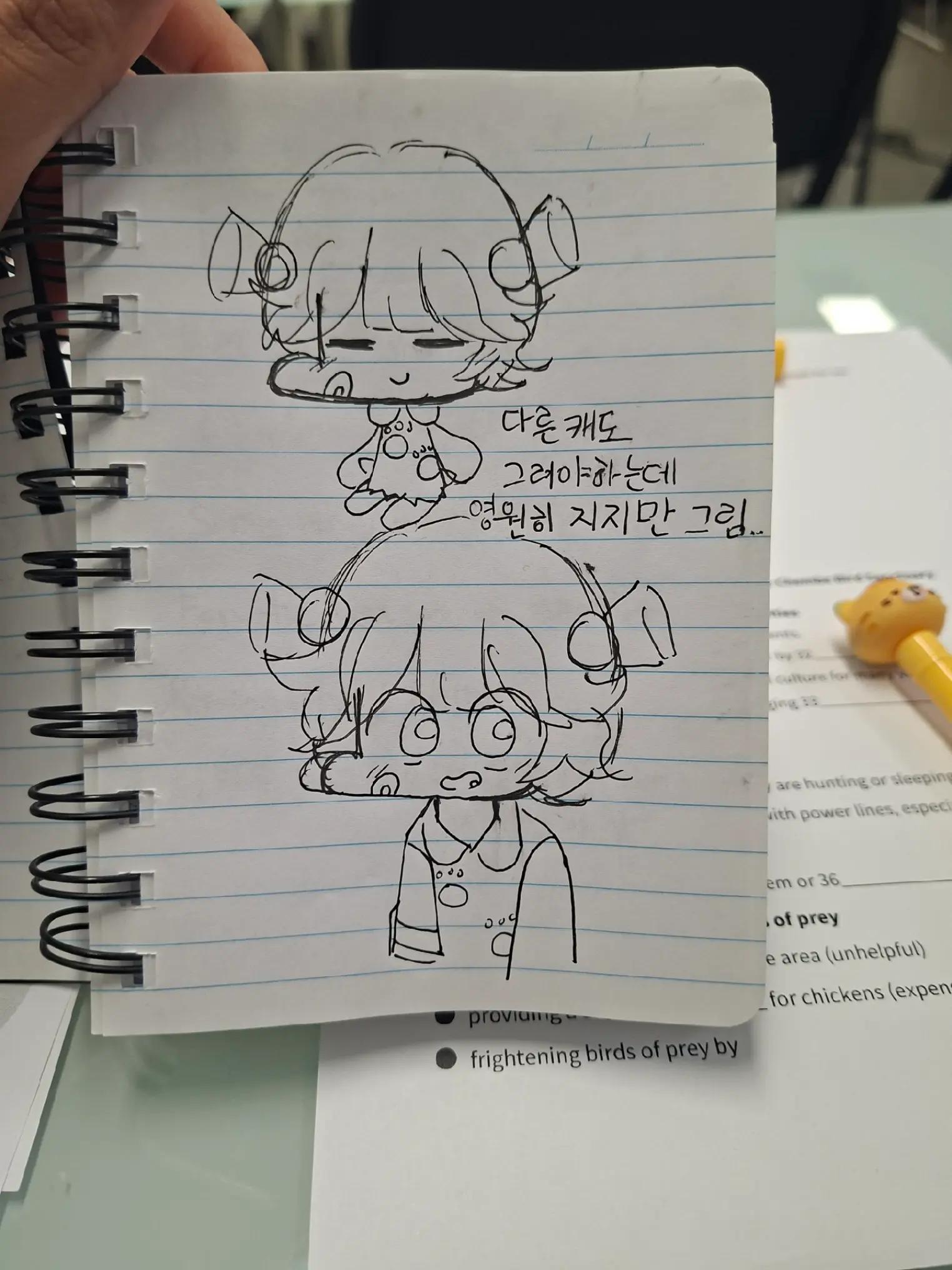 @키파kippa