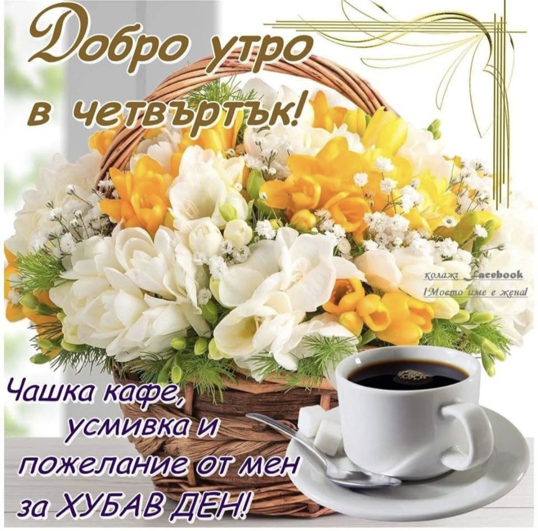 @🇧🇬🇧🇬🇧🇬ХРИСТО ДОНЕВ🤍💚❤️
