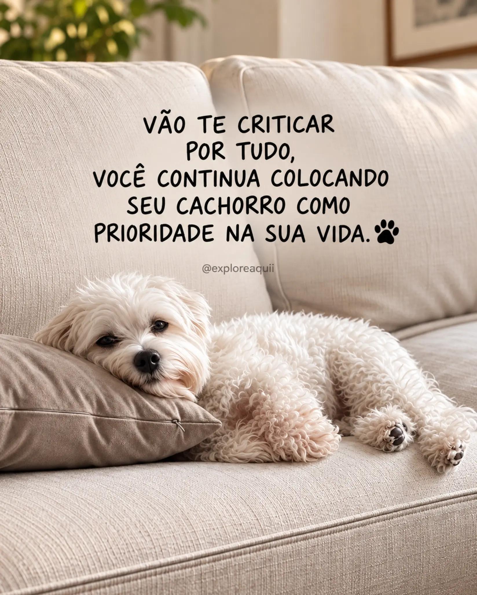 @Explore Aquii 🐾🐾✨️