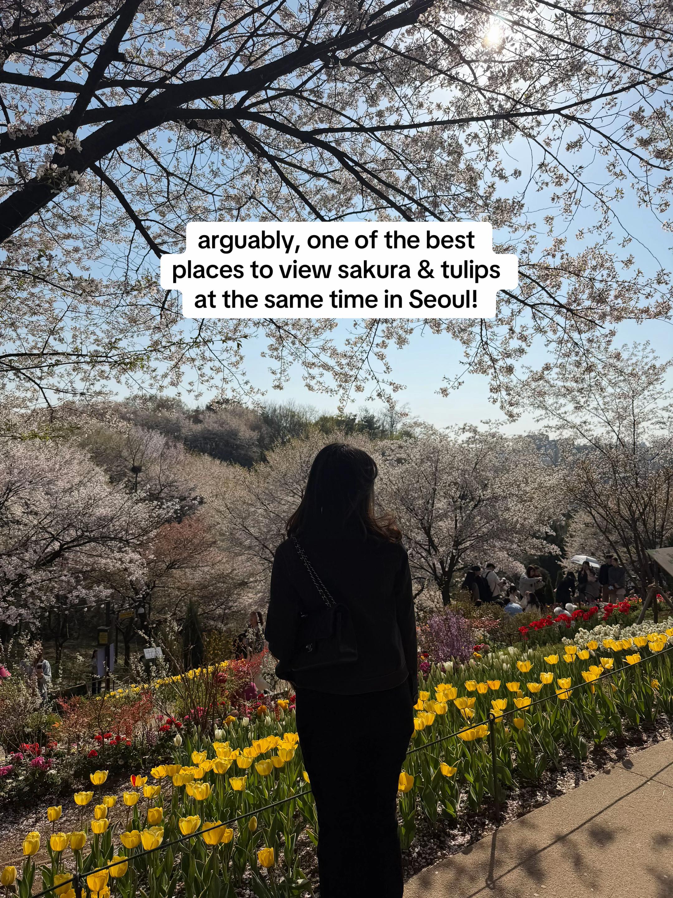 @Anastasya ₍ᐢ. ̫.ᐢ₎