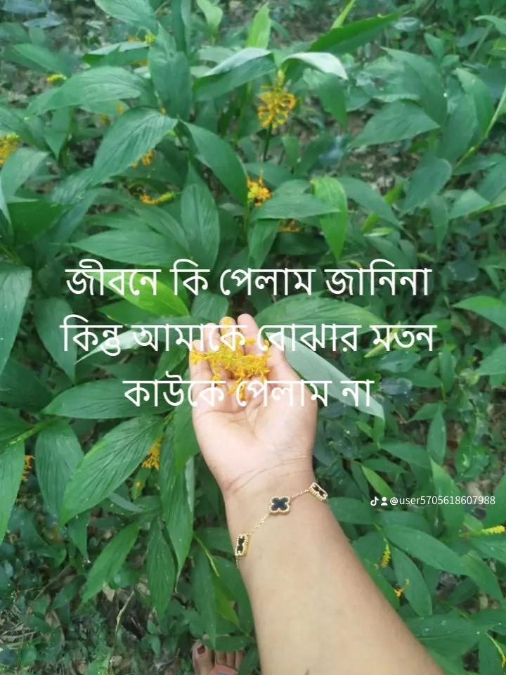 @ইলমা আক্তার