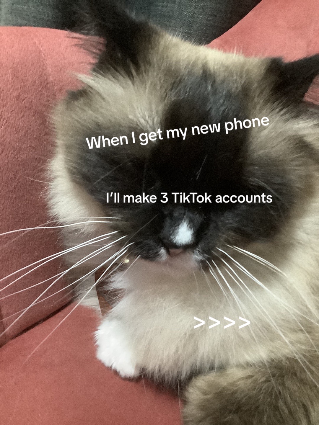 @๐บ๐๐๐๐๐๐๐ โก ๐