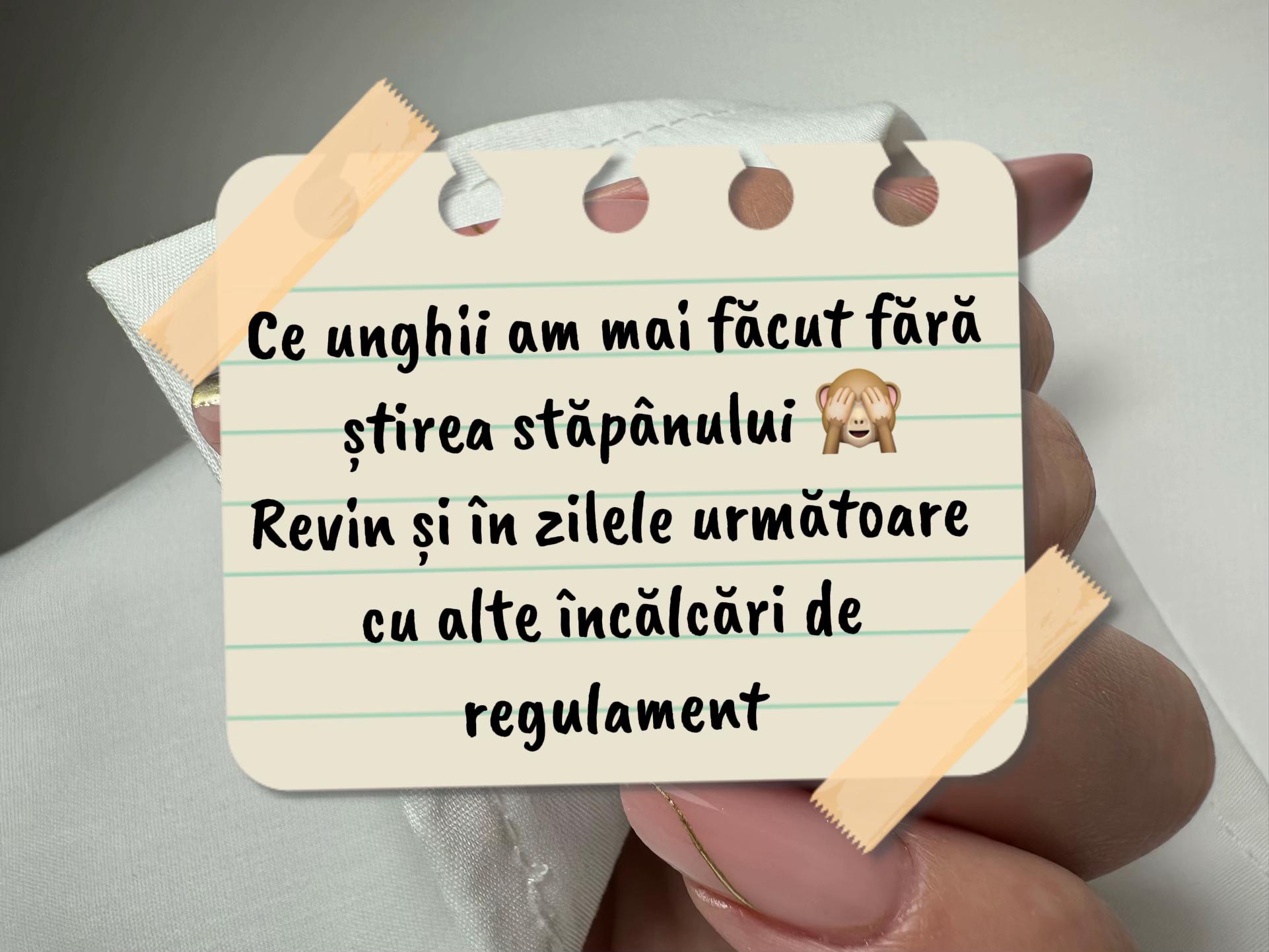 @Lenuța Istrate NailArtist ✨