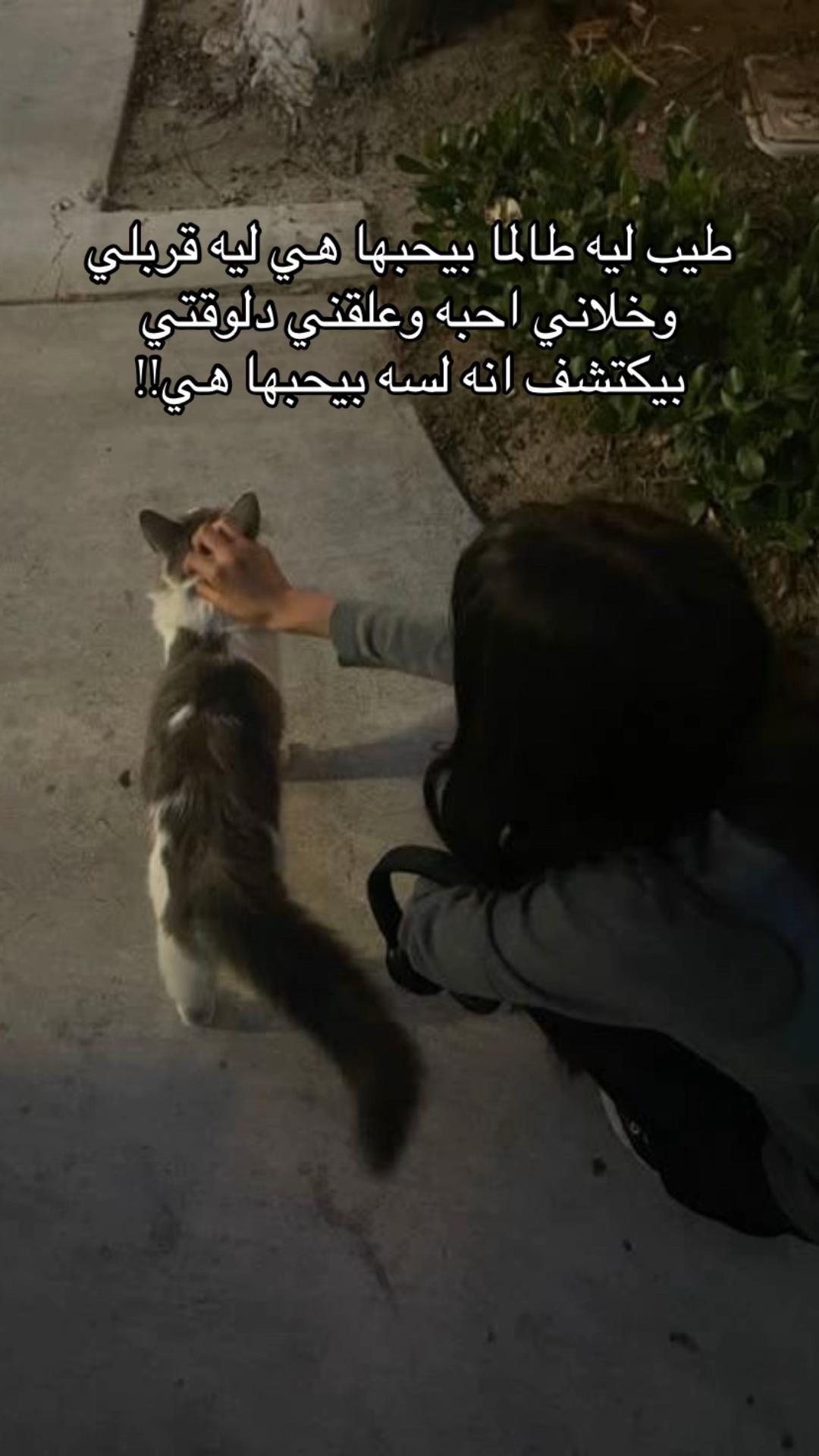 @Ⓜ️