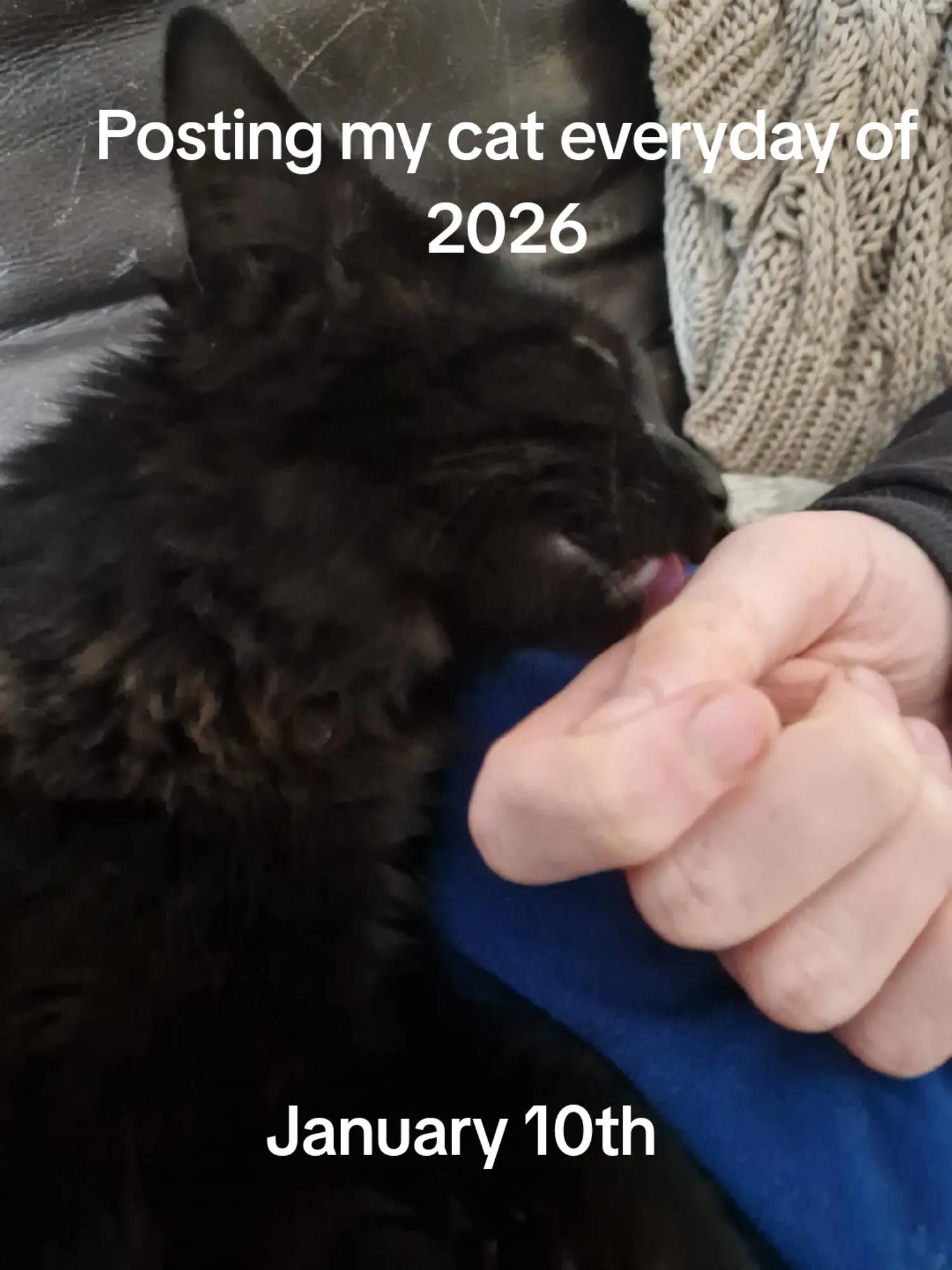 @Weakest Cat Enjoyer