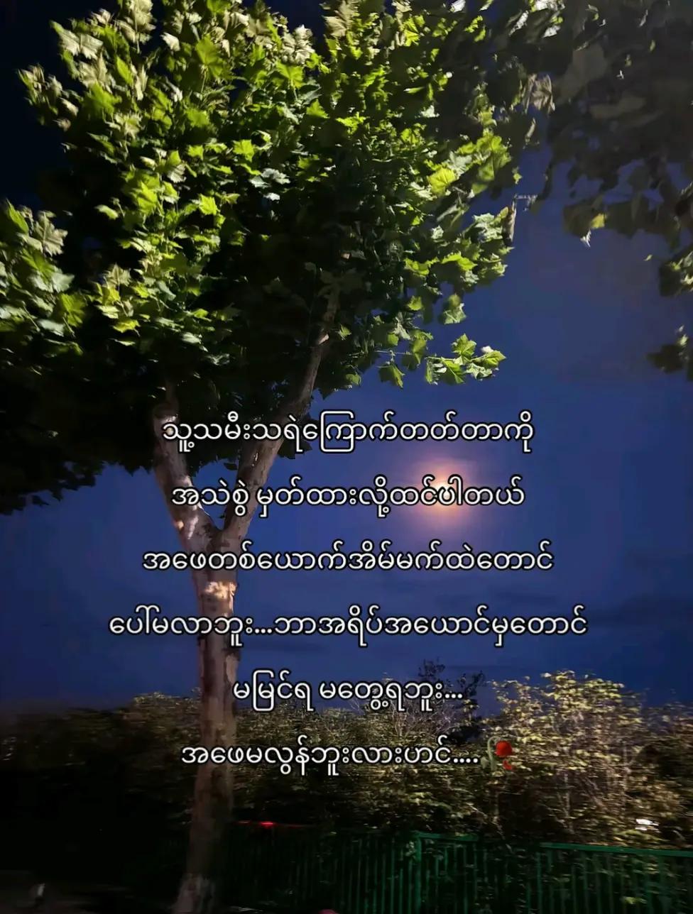 @數|✰• 𝓜 •𐙚 ᥫ᭡