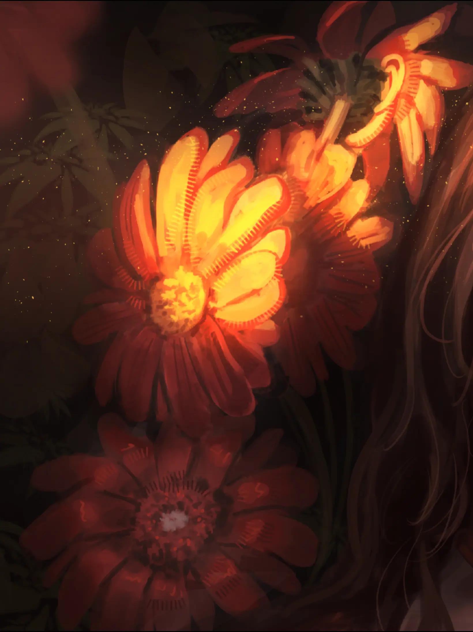 @𝗟𝟯𝗫