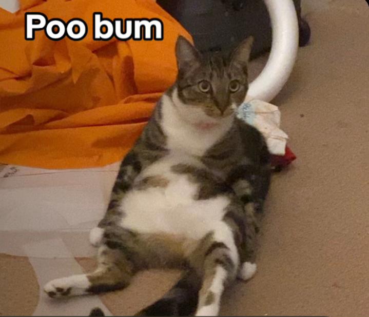@Bun