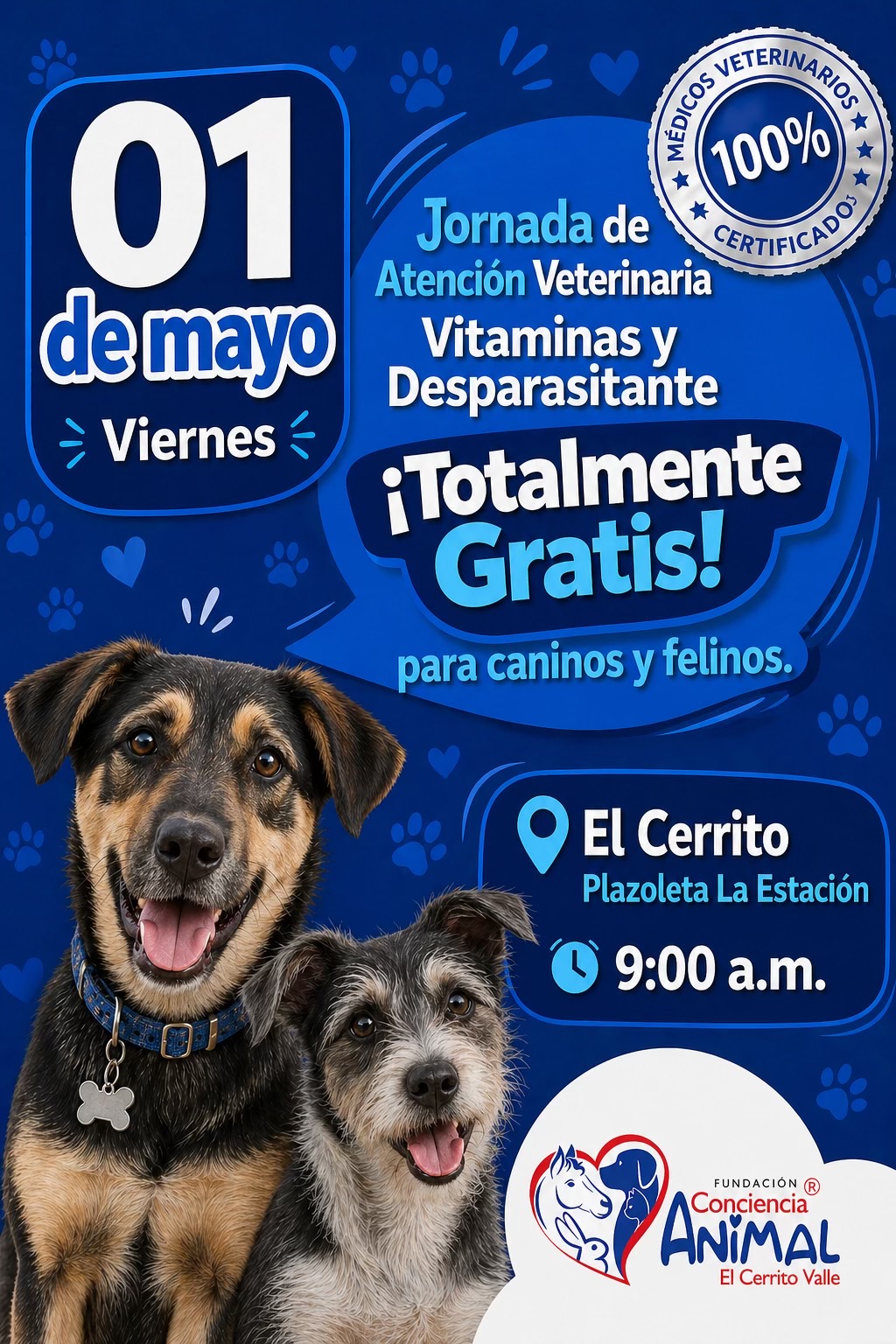 @Conciencia Animal El Cerrito