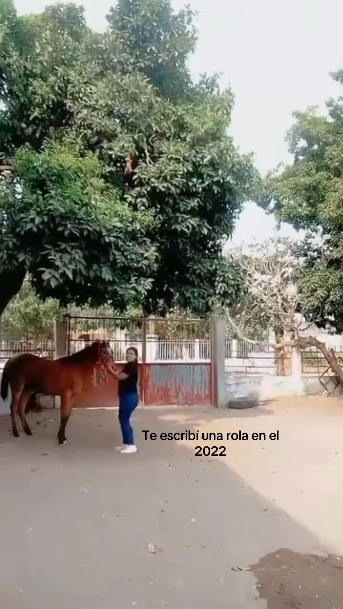 @Araceli García 🏇