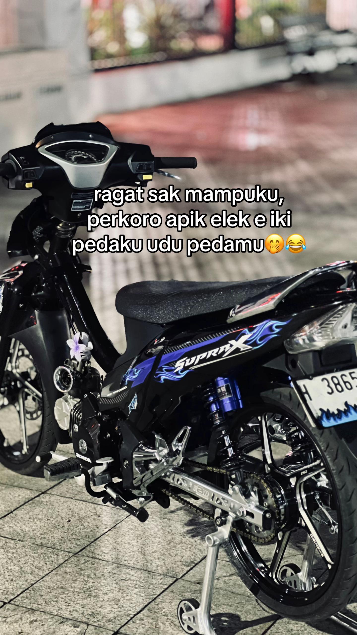 @Yogi Tri
