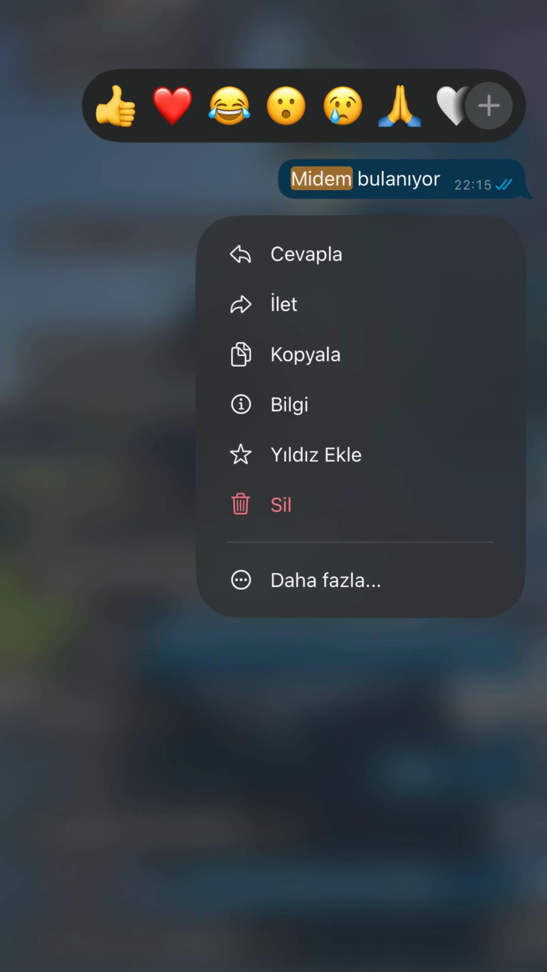 @r4biab