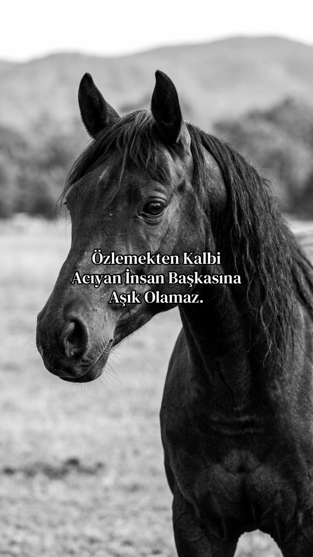 @Ali Can Çalışkan