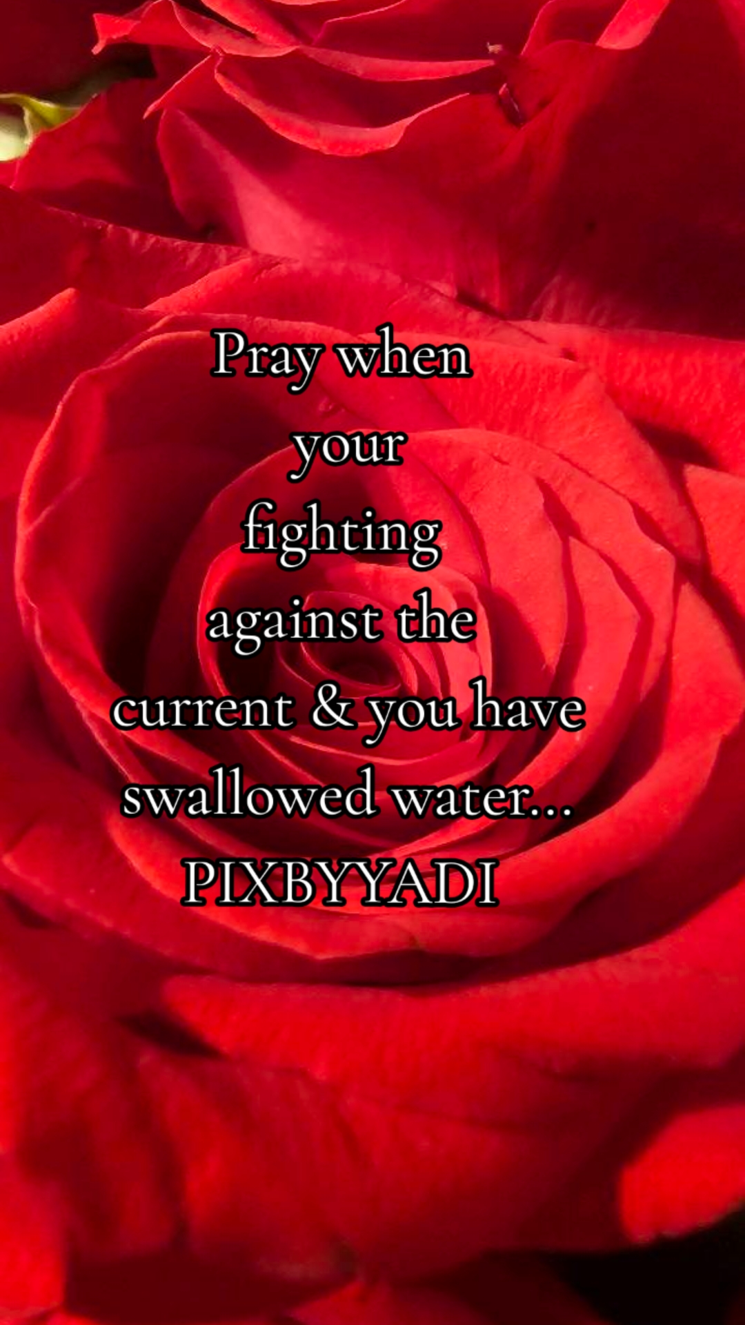 @Yadi
