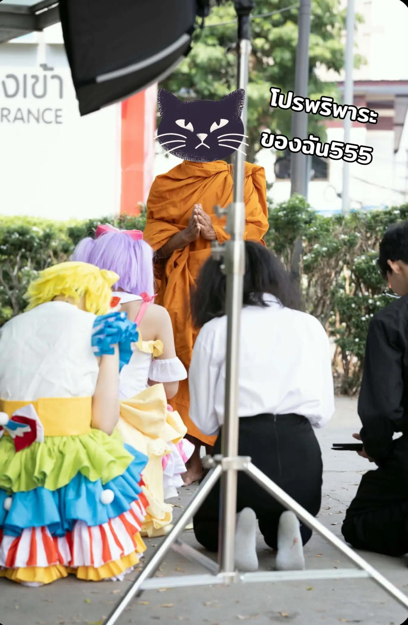@ฮิโนะชอบแมวส้ม😺🌻
