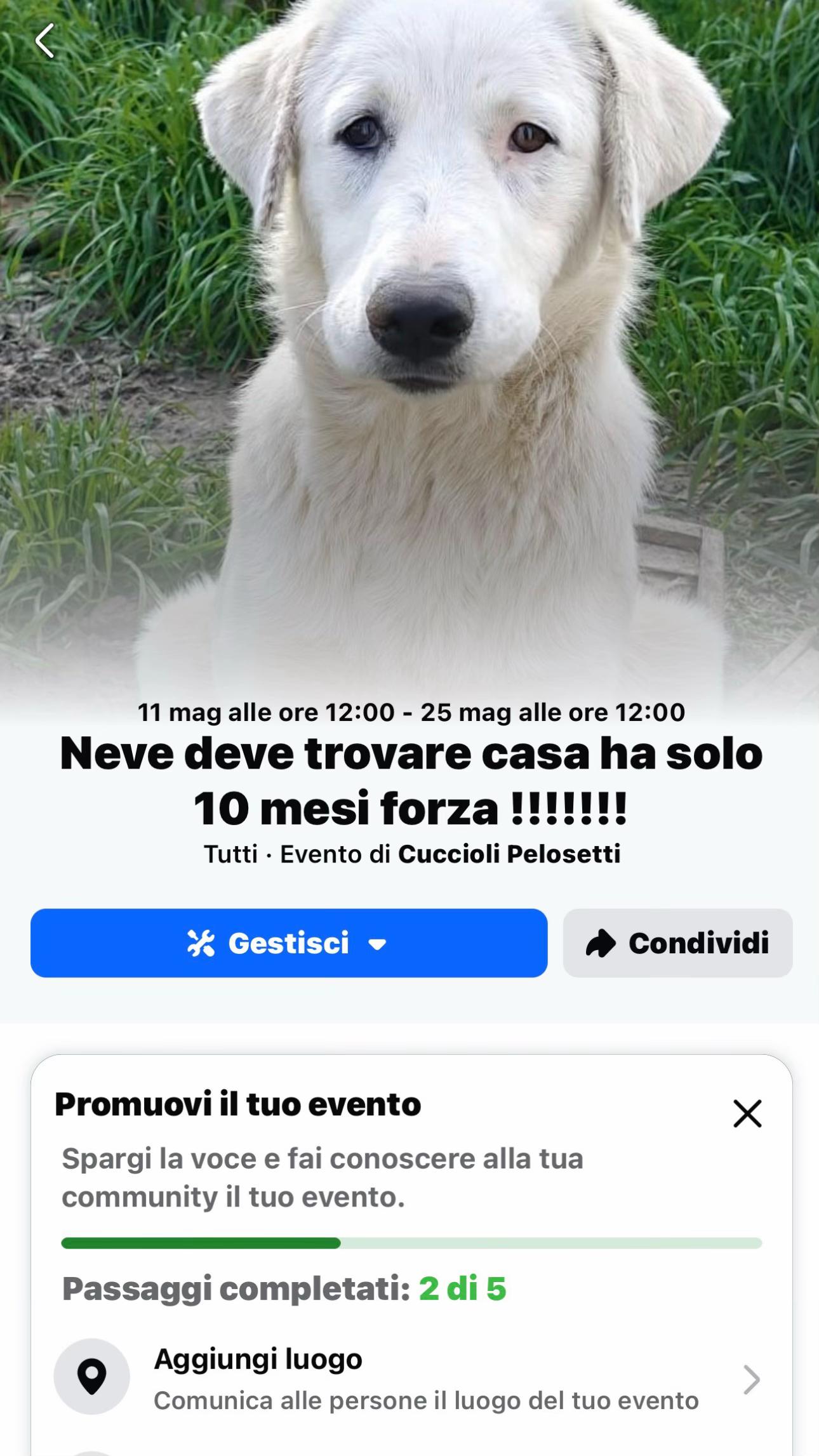 @I randagi di nessuno